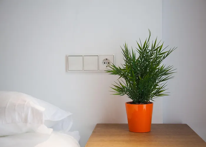 Sarriegi بيت ضيافة سان سيباستيان