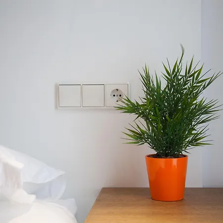 Sarriegi Pensión San Sebastián